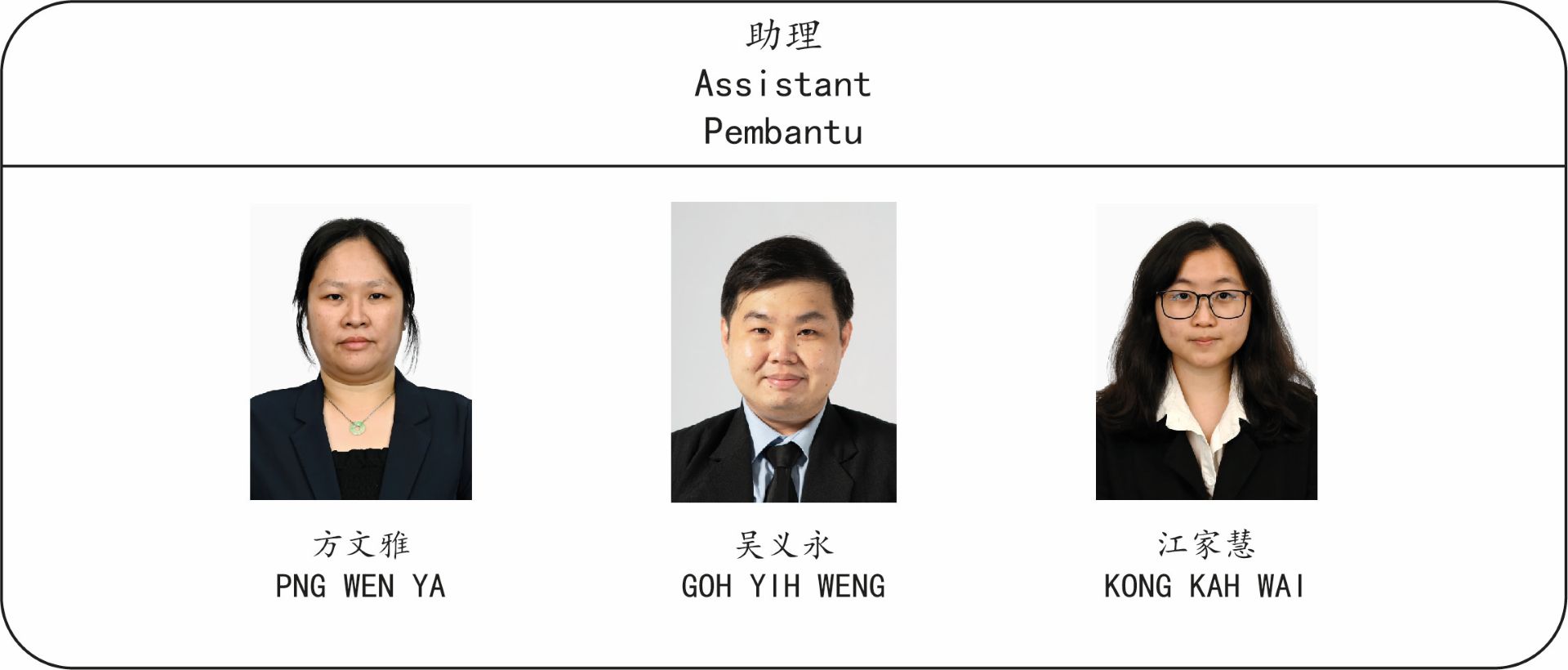 2026辅导处组织结构图-03